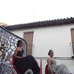 foto de los novillos
